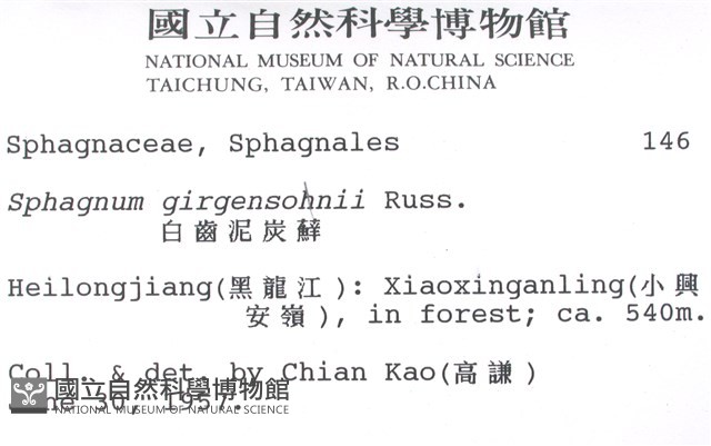 白齒泥炭蘚藏品圖，第2張