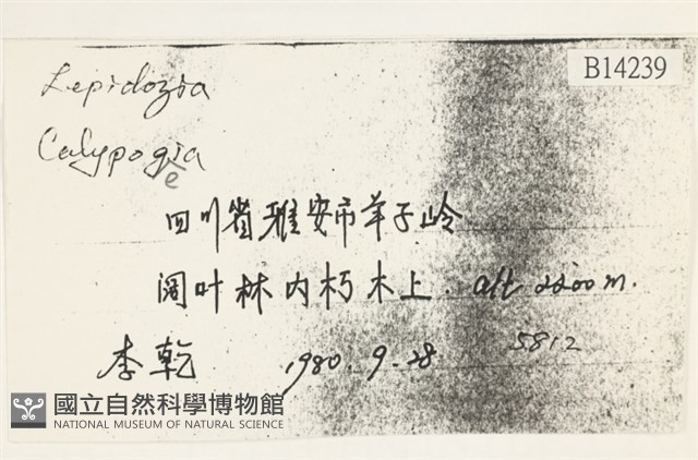 登錄號:B00014239藏品圖，第2張