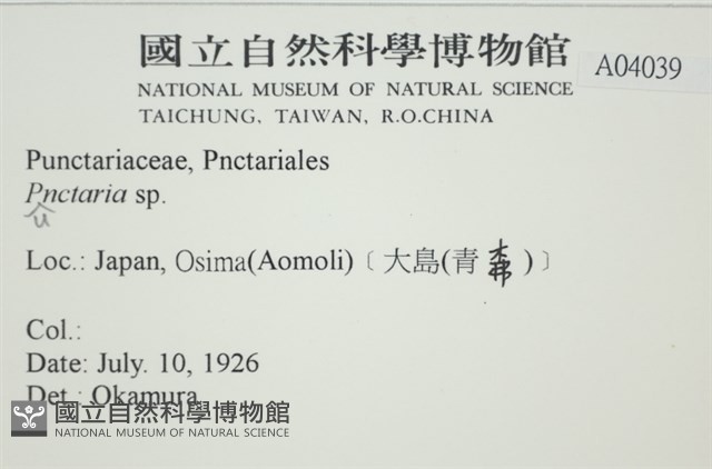 登錄號:A00004039藏品圖，第2張