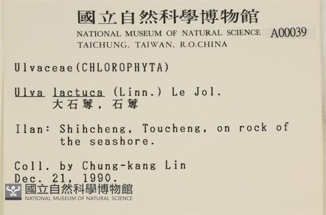 大石蓴, 石蓴藏品圖，第2張