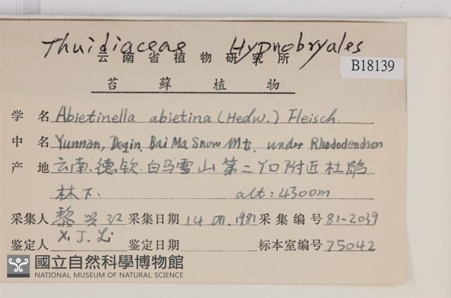 山羽蘚藏品圖，第2張