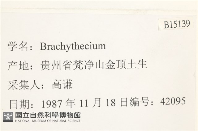 登錄號:B00015139藏品圖，第2張