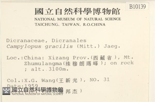 登錄號:B00010139藏品圖，第2張