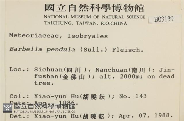 多疣懸蘚藏品圖，第2張