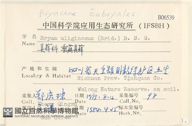 垂蒴真蘚藏品圖，第2張