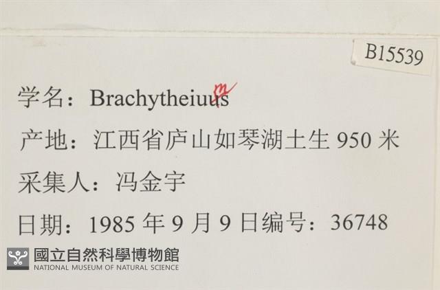 登錄號:B00015539藏品圖，第2張