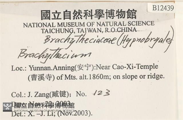 登錄號:B00012439藏品圖，第2張