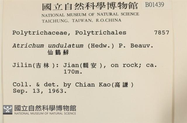 仙鶴蘚藏品圖，第2張