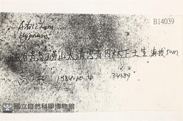 登錄號:B00010439藏品圖，第2張