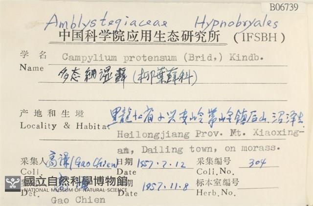 多態細濕蘚藏品圖，第2張