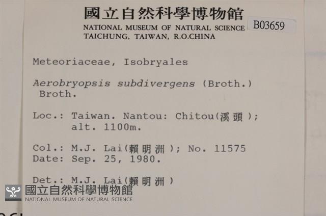 大灰氣蘚藏品圖，第2張