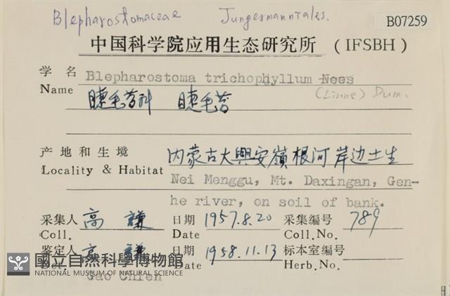 睫毛苔藏品圖，第2張