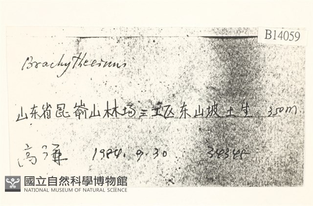 登錄號:B00014059藏品圖，第2張