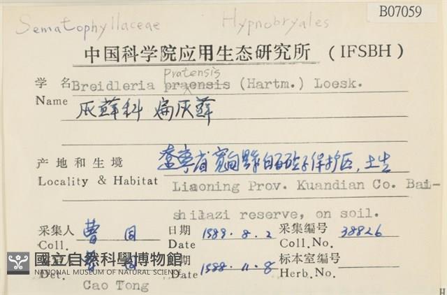 扁灰蘚藏品圖，第2張