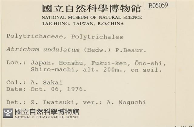 仙鶴蘚藏品圖，第2張