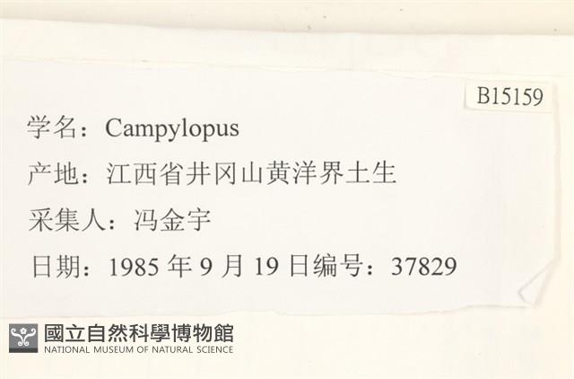 登錄號:B00015159藏品圖，第2張