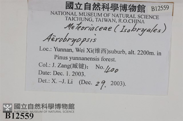登錄號:B00012559藏品圖，第2張