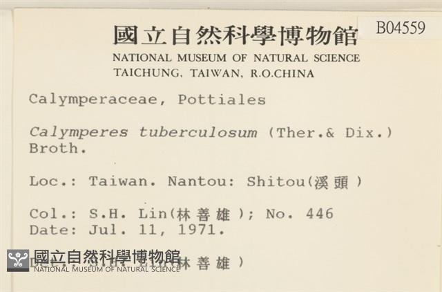 登錄號:B00004559藏品圖，第2張