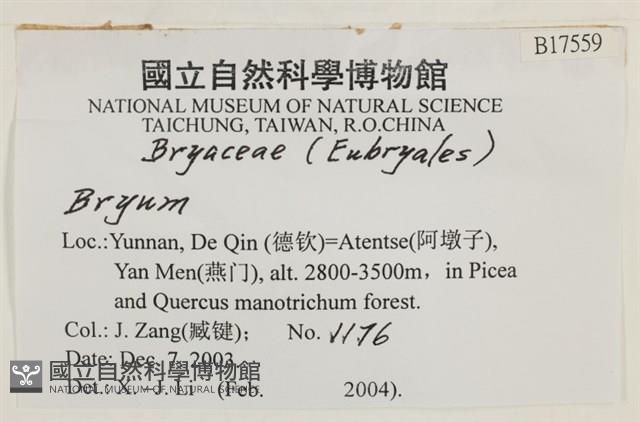 登錄號:B00017559藏品圖，第2張