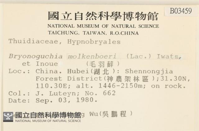 毛羽蘚藏品圖，第2張