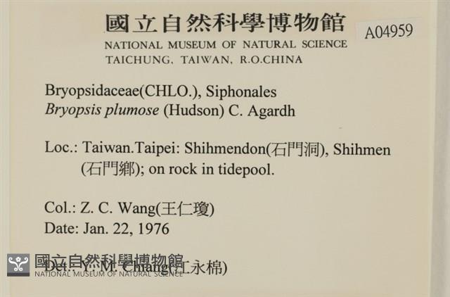 登錄號:A00004959藏品圖，第2張