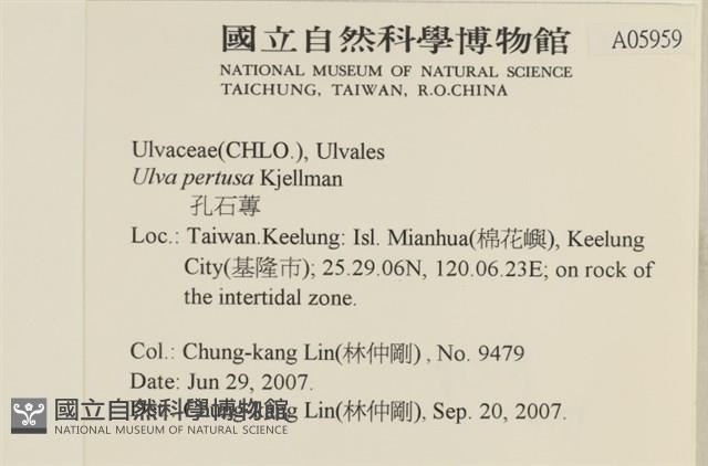 登錄號:A00005959藏品圖，第2張