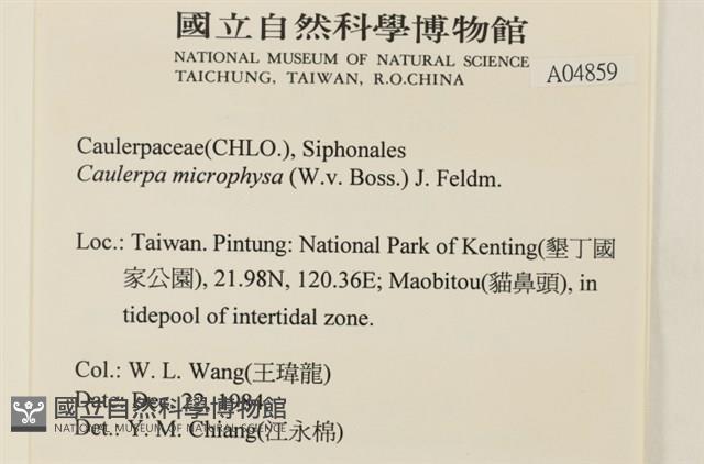 登錄號:A00004859藏品圖，第2張