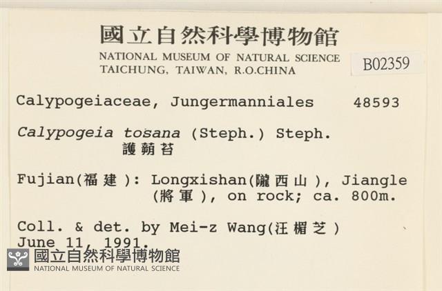 雙齒護蒴苔藏品圖，第2張