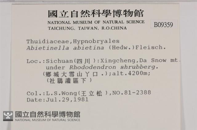山羽蘚藏品圖，第2張