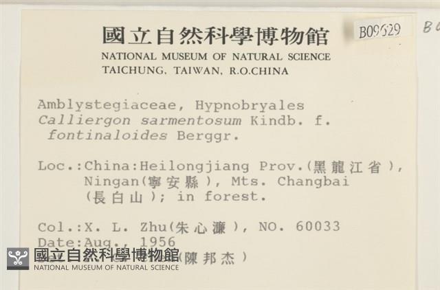 登錄號:B00009629藏品圖，第2張