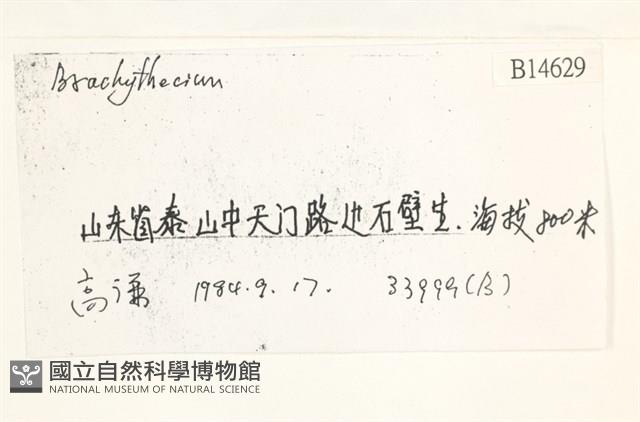 登錄號:B00014629藏品圖，第2張