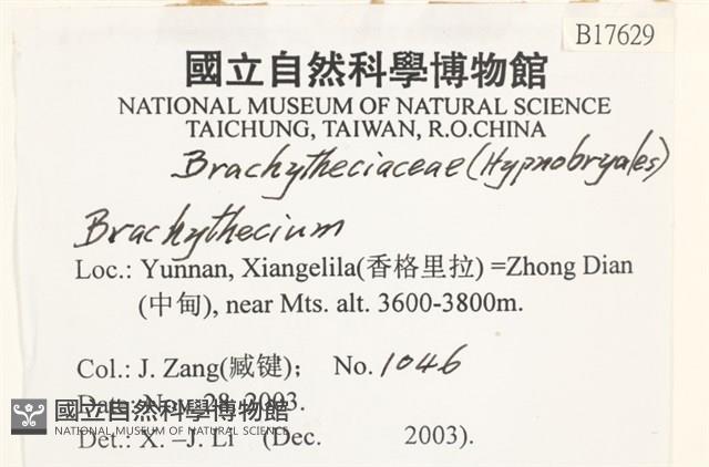 登錄號:B00017629藏品圖，第2張