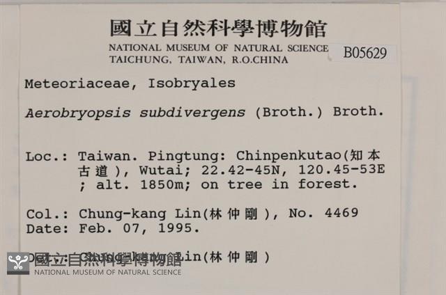 大灰氣蘚藏品圖，第2張