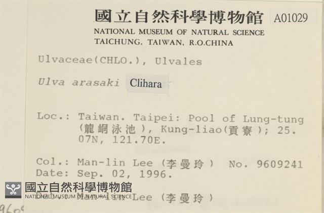 登錄號:A00001029藏品圖，第2張
