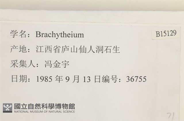 登錄號:B00015129藏品圖，第2張
