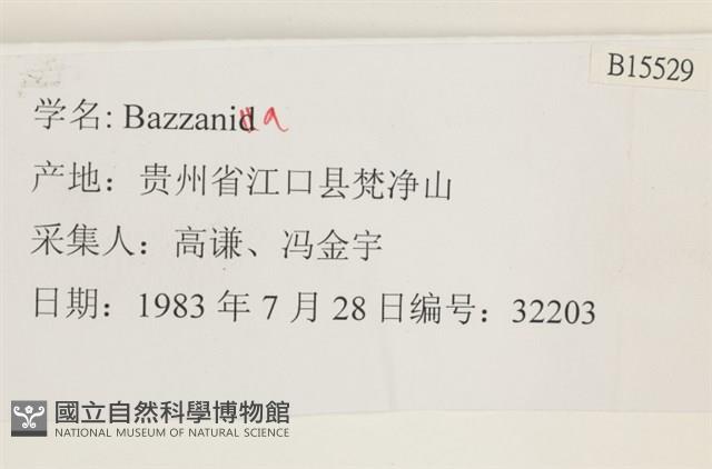 登錄號:B00015529藏品圖，第2張