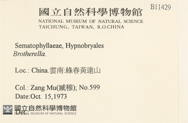 登錄號:B00011429藏品圖，第2張