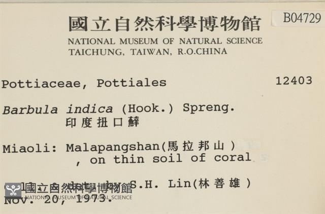 印度扭口蘚藏品圖，第2張