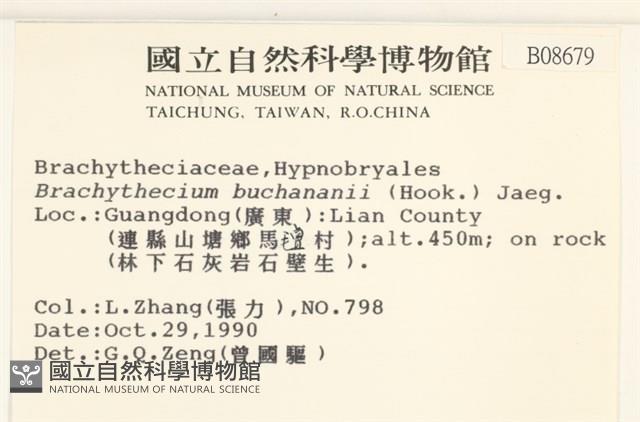 細枝青蘚藏品圖，第2張