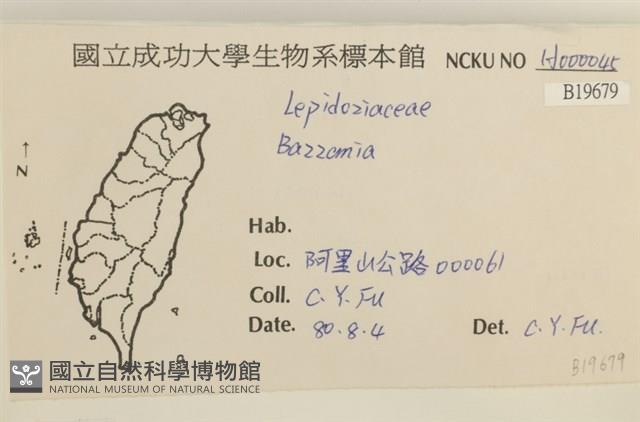 登錄號:B00019679藏品圖，第2張
