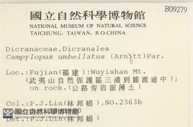 登錄號:B00009279藏品圖，第2張