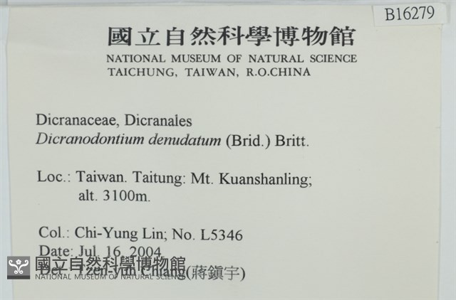 青毛苔藏品圖，第2張