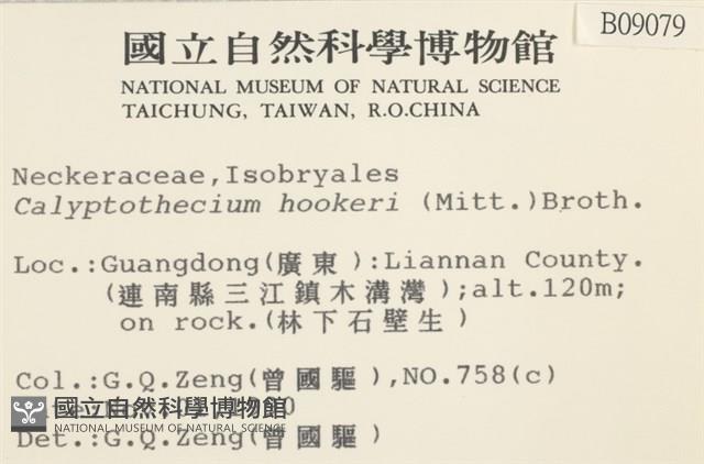 登錄號:B00009079藏品圖，第2張