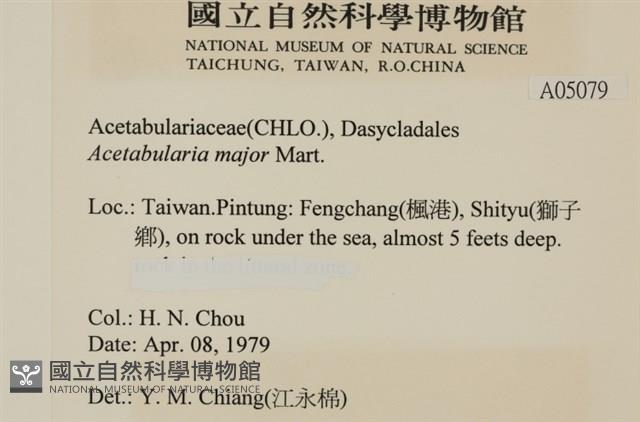 登錄號:A00005079藏品圖，第2張