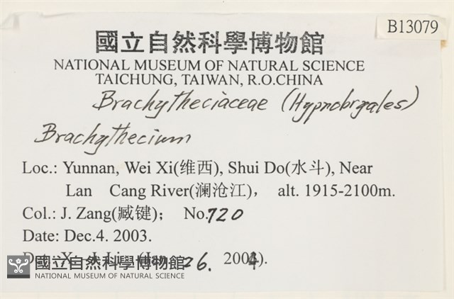 登錄號:B00013079藏品圖，第2張