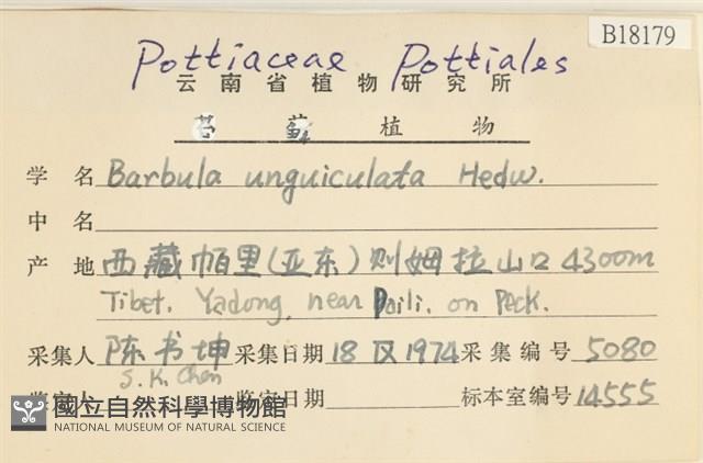 扭口蘚藏品圖，第2張