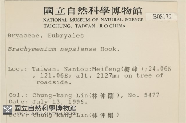 那霸短月蘚藏品圖，第2張
