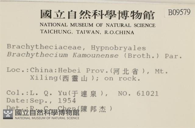 登錄號:B00009579藏品圖，第2張