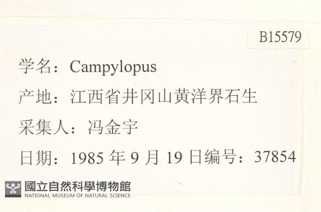 登錄號:B00015579藏品圖，第2張