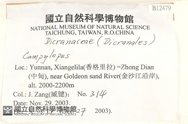 登錄號:B00012479藏品圖，第2張